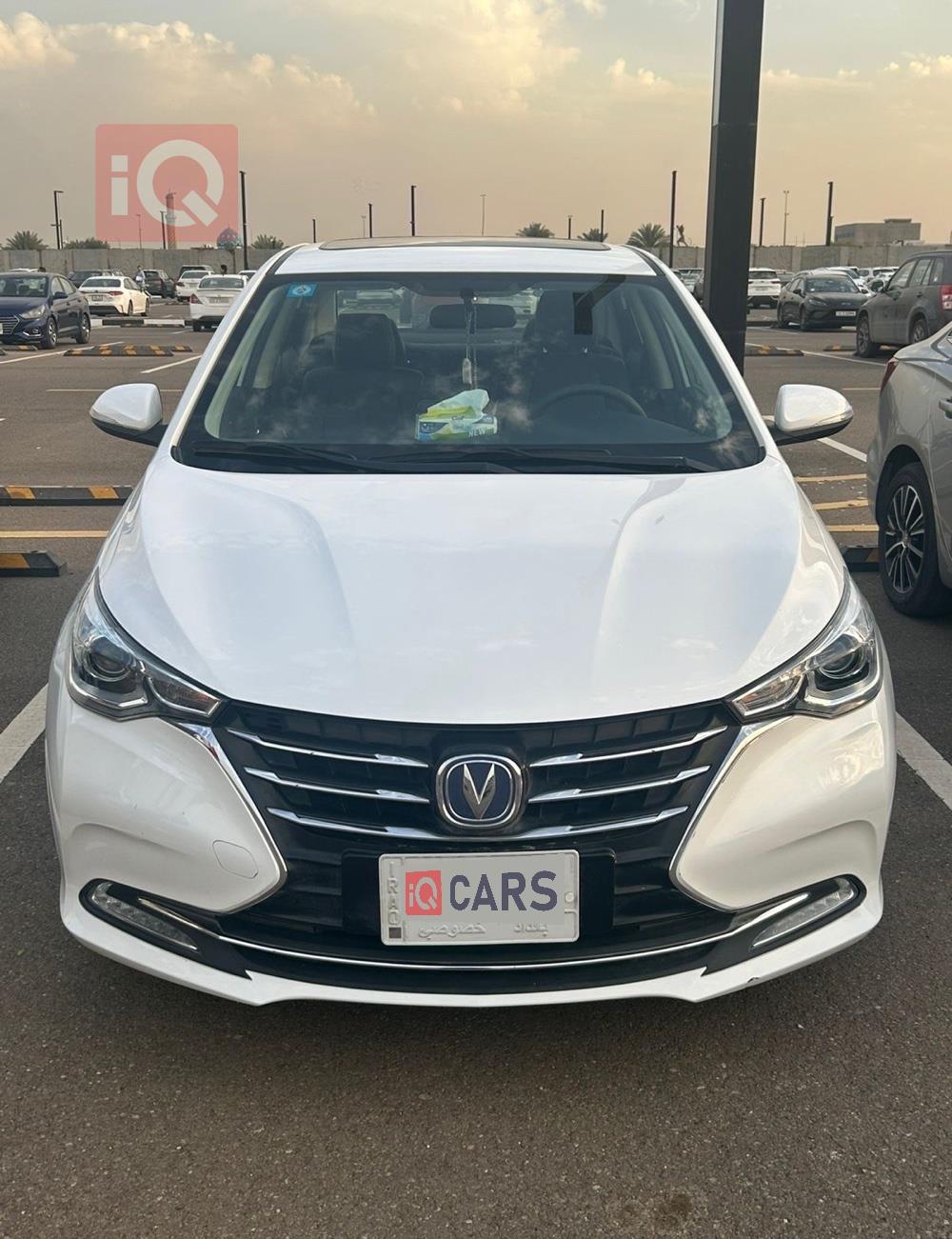 شانجان السفن